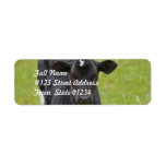 Black Baby Calf Label