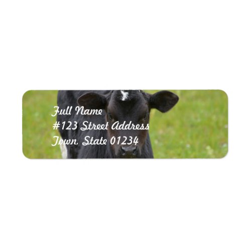 Black Baby Calf Label