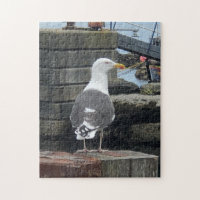 Black-Backed Gull, Isle of Islay, Scotland Jigsaw Puzzle