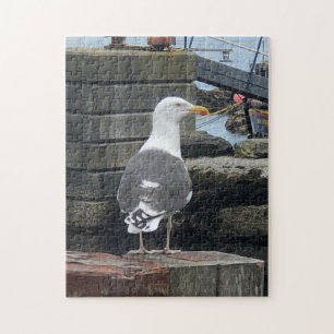 Black-Backed Gull, Isle of Islay, Scotland Jigsaw Puzzle