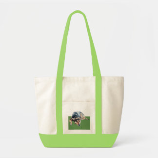 Black Bag