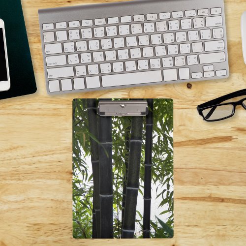 Black Bamboo Garden Photographic Clipboard