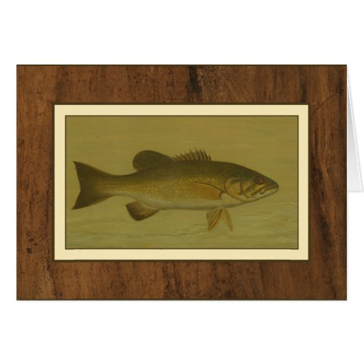 Black Bass on a Green Background (Front Horizontal)