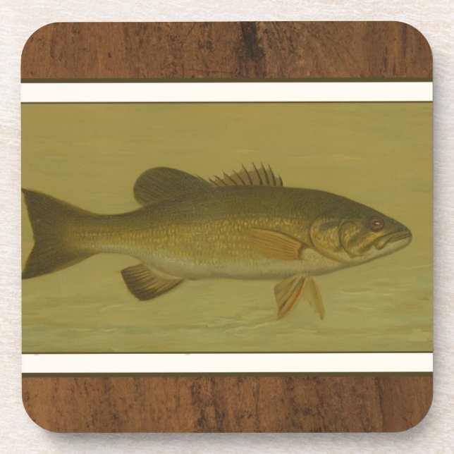 Black Bass on a Green Background Beverage Coaster (Front)
