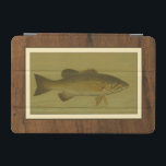 Black Bass on a Green Background iPad Mini Cover<br><div class="desc">This piece of arwork will please any fish amateur. The painting represents a black bass swimming into green water. In this image,  the brown borders makes it the perfect decorative art piece.</div>