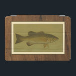 Black Bass on a Green Background iPad Mini Cover<br><div class="desc">This piece of arwork will please any fish amateur. The painting represents a black bass swimming into green water. In this image,  the brown borders makes it the perfect decorative art piece.</div>