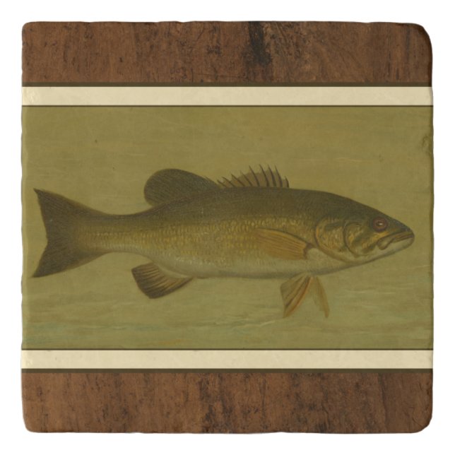 Black Bass on a Green Background Trivet (Front)