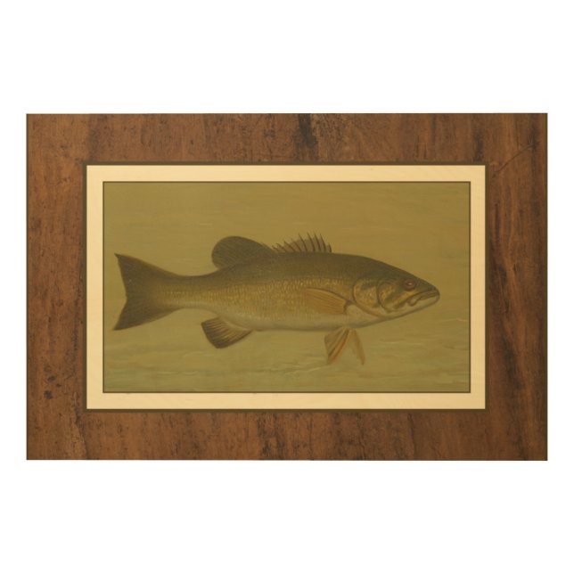 Black Bass on a Green Background Wood Wall Art (Front)