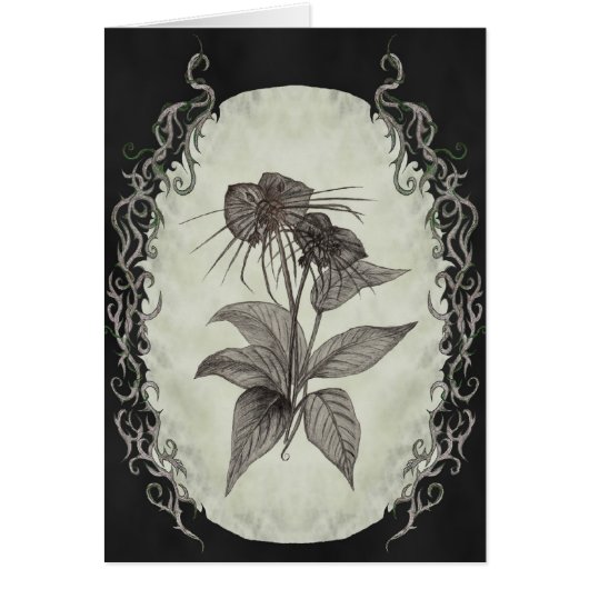 Black Bat Plant Card (Front)