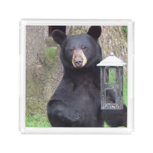 Black Bear Acrylic Tray