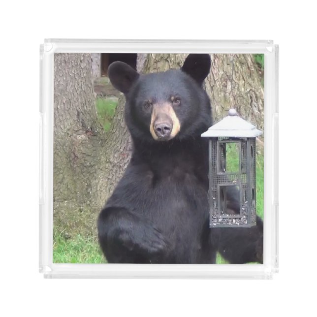 Black Bear Acrylic Tray (Front)