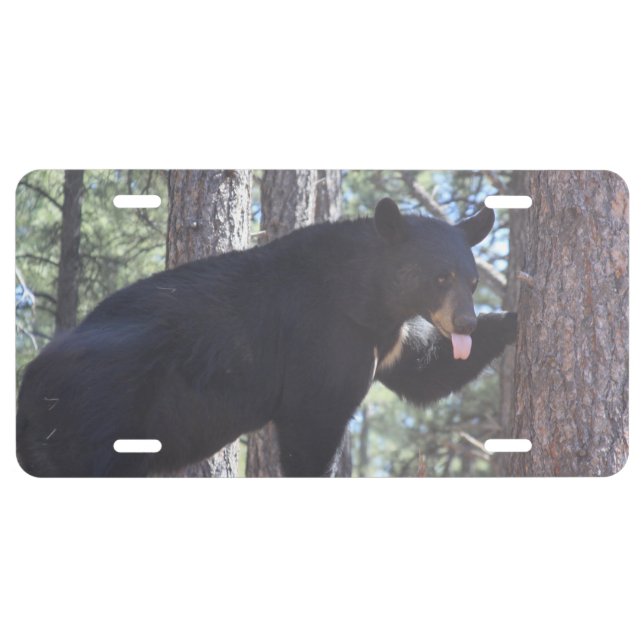 Black Bear Aluminum License Plate (Front)