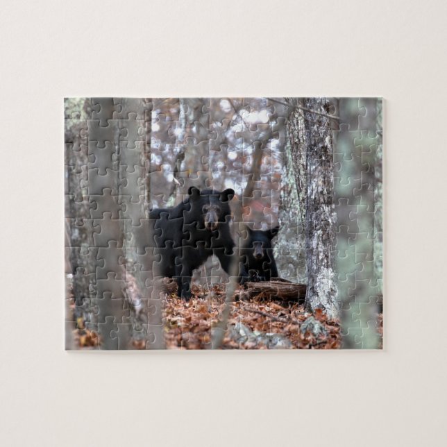 Black Bear and Cub Puzzle (Horizontal)