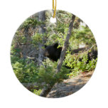 Black Bear at Grand Teton Ceramic Ornament