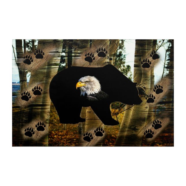 Black Bear Bald Eagle Bear Paw Prints Wilderness Acrylic Print (Front)