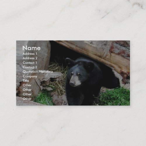 Black Bear Business Card