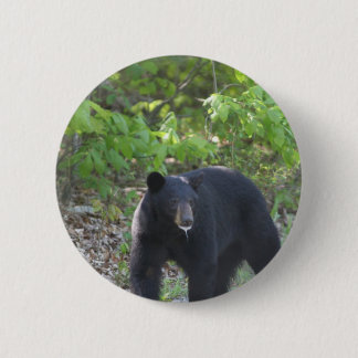 black bear button