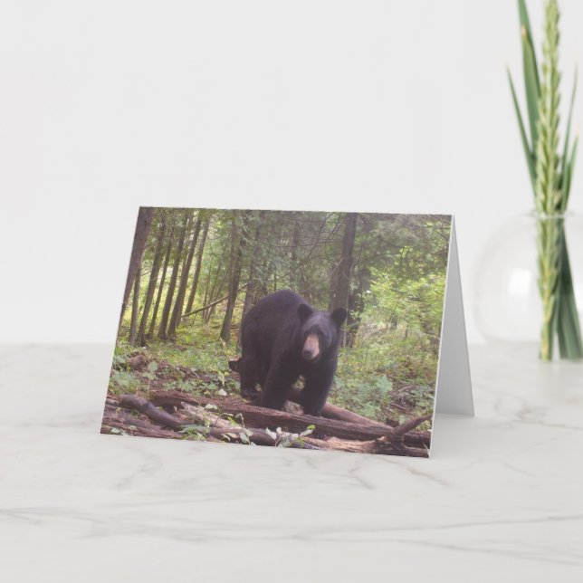 Black bear card (Front)