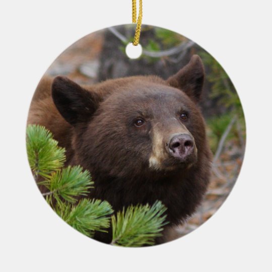 black bear ceramic ornament