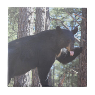 Black Bear Ceramic Tile