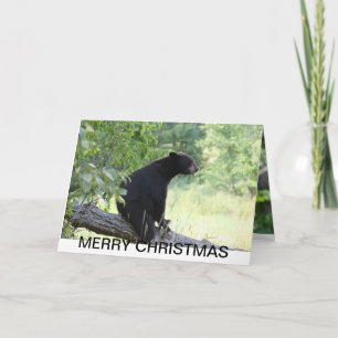 black bear christmas card