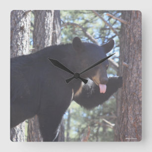 Black Bear Clock