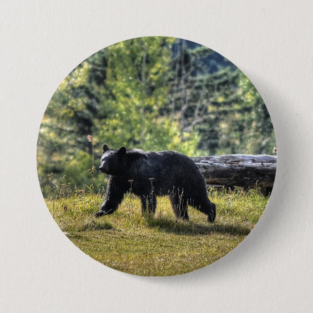 Black Bear Crossing A Ranch Pasture Button (Front)