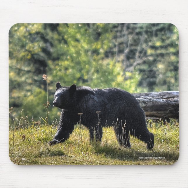 Black Bear Crossing A Ranch Pasture II Mouse Pad (Front)