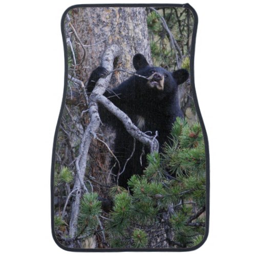 black bear cub car mat