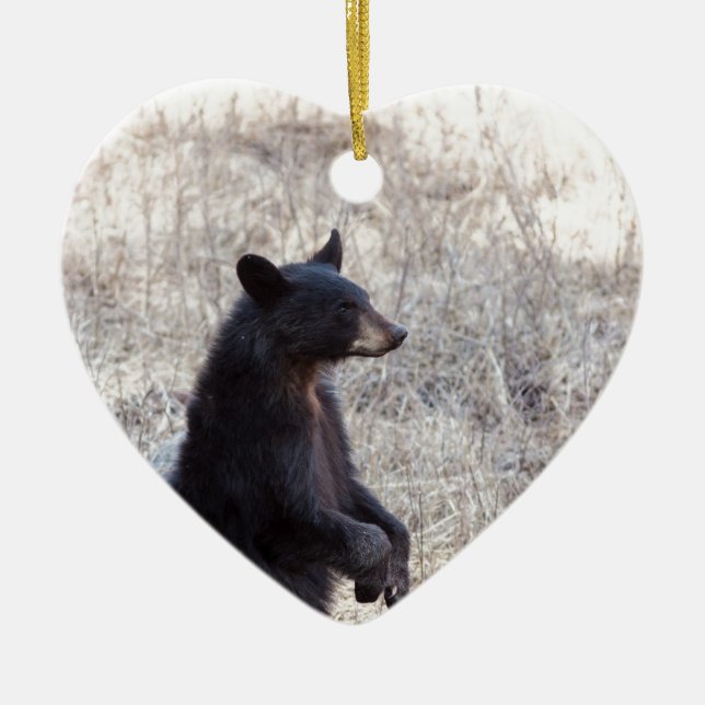 Black Bear Cub Ceramic Ornament (Front)