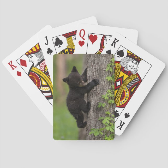 Black Bear Cub Climbing Tree Poker Cards (Back)