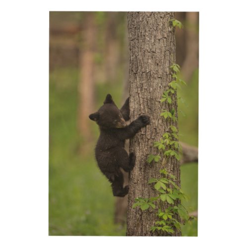 Black Bear Cub Climbing Tree Wood Wall Decor