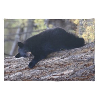Black Bear Cub Cloth Placemat by WorldDesign at Zazzle