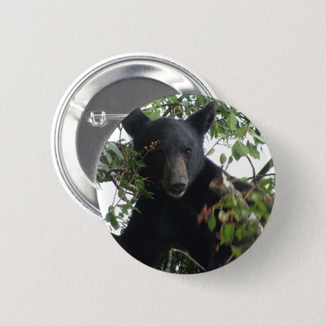 Black Bear Cub in a Tree Button (Front & Back)