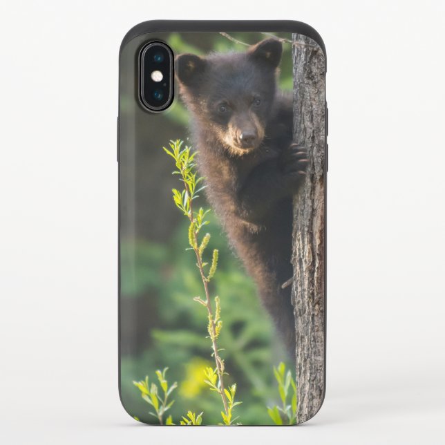 Black Bear Cub in Springtime Uncommon iPhone Case (Back)