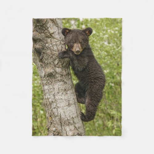 Black Bear cub In Tree Fleece Blanket