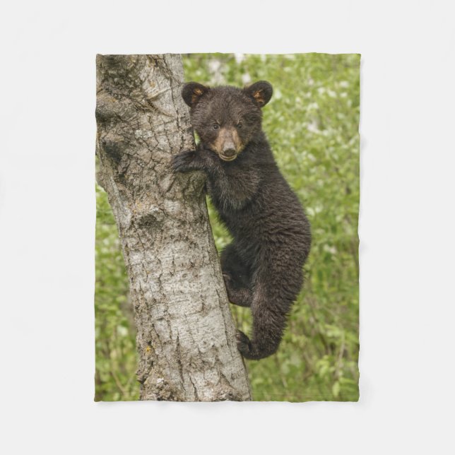 Black Bear cub In Tree Fleece Blanket (Front)