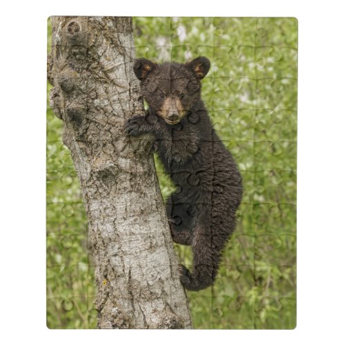 Black Bear cub In Tree Jigsaw Puzzle