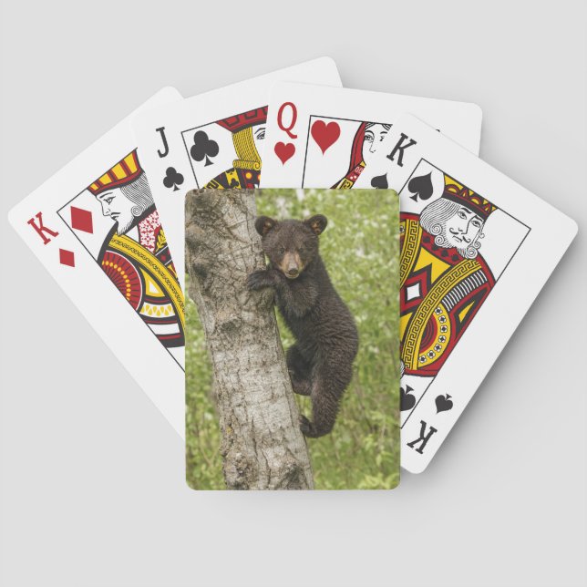 Black Bear Cub in Tree Poker Cards (Back)