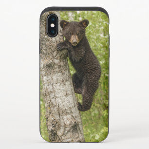 Black Bear Cub in Tree iPhone X Slider Case