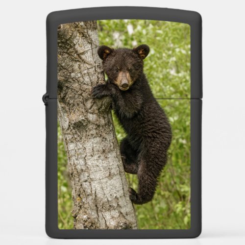 Black Bear cub In Tree Zippo Lighter