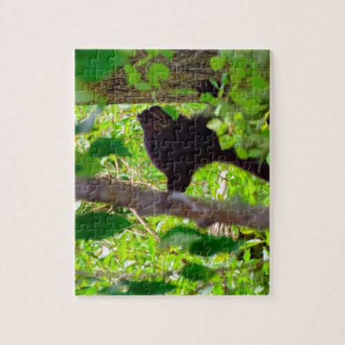 black bear cub jigsaw puzzle