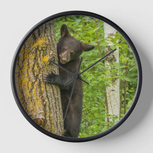Black Bear Cub  Minnesota Clock