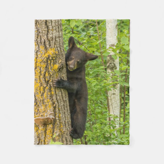 Black Bear Cub | Minnesota Fleece Blanket (Front)