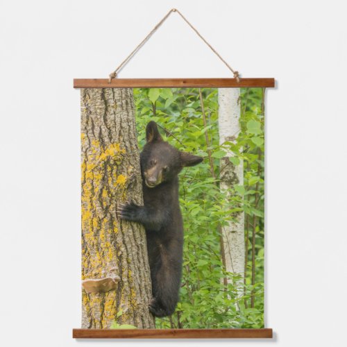 Black Bear Cub  Minnesota Hanging Tapestry