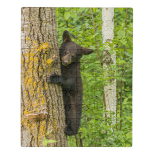 Black Bear Cub Minnesota Jigsaw Puzzle