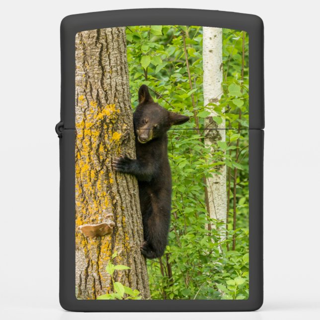 Black Bear Cub | Minnesota Zippo Lighter (Front)