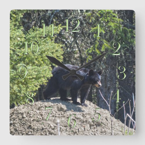 Black Bear Cub  Mud Hill Wildlife Photo Clock
