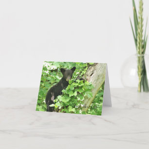 Black Bear Cub Note Card