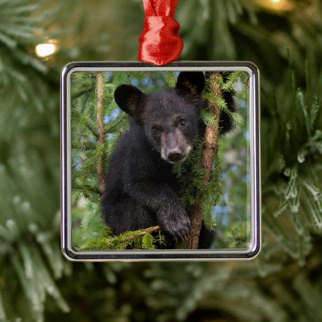 Black Bear Cub Playing in Trees Metal Ornament (Tree)